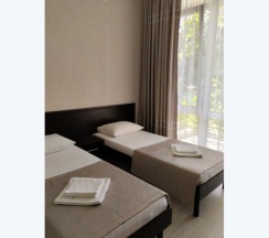 Двухместный Стандарт с раздельными кроватями в Акварель