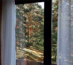 Номер "Люкс" в Борвиха