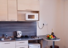 Улучшенный номер с кухней и диваном в Есенин