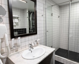 Бизнес (Business Twin) в Отель Центральный