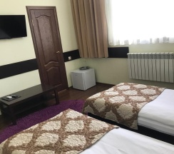 Номер полулюкс семейный с 2 односпальными кроватями в Камелия-В