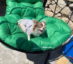 Коттедж улучшенный в Пушка