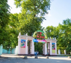 Делюкс 25,8 м2 в Дом на Зеленой