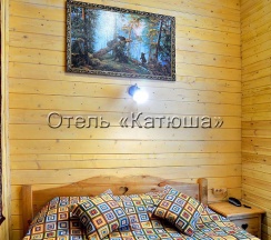 1-местный номер комфорт (деревянный корпус) в Катюша