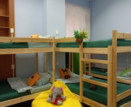 Кровать в общем 12 местном номере в Garden 22/2