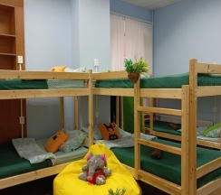 Кровать в общем 12 местном номере в Garden 22/2
