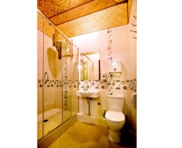 Номер полулюкс с 1 односпальной кроватью в Red House