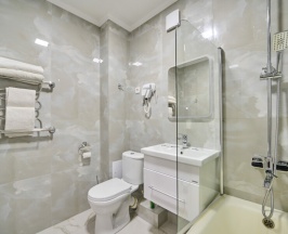 Стандартный номер в Mister X