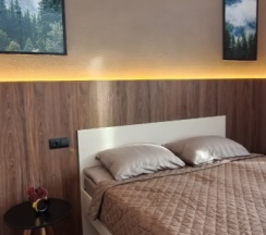 Семейный номер Classic в В городе N