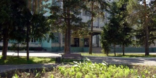 Бердск: Санаторий Лесная сказка