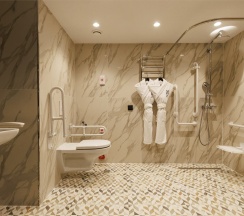 Классик для гостей с ограниченными физическими возможностями в Helen Hotel