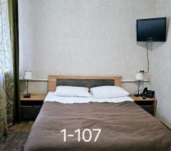 Двухместный эконом              (в корпусах №1 №3) в Лесное поместье