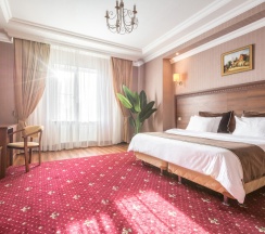 Двухместный номер Comfort с видом на город двуспальная кровать в Театр