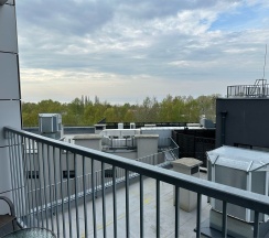 JUNIOR SUITE в Kristall