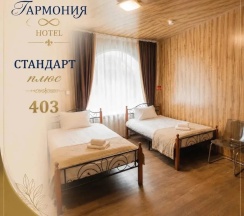 Стандарт плюс № 403 в Гармония