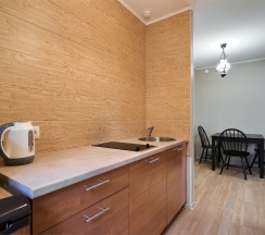 Коттедж-Студио в Салют