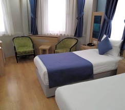 Двухместный номер Deluxe 2 отдельные кровати в Yesilpark Hotel