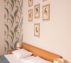 Семейный номер 2-х комнатный 4-х местный в Жемчуг