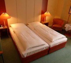 Двухместный номер Standard двуспальная кровать в Hotel Vorbach