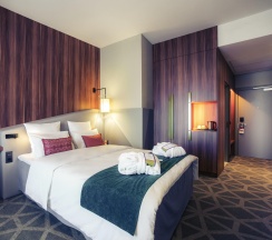 Номер стандарт с 1 двуспальной кроватью в Mercure Саранск Центр
