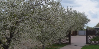 Никольское: Турбаза Никольское