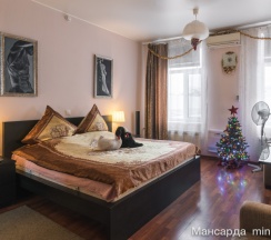 Миниапартаменты (люкс) в Мансарда