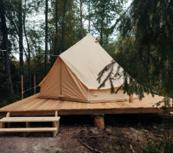 Смородиновая поляна в Котопельто