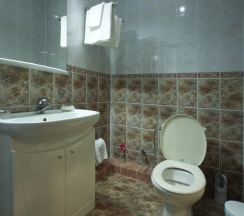 Двухместный номер Standard с балконом и с красивым видом из окна 2 отдельные кровати в Изумрудный лес