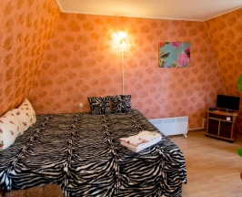 Стандартный номер  в Востряково