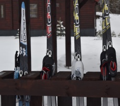Коттедж в Загородный дом с русской баней