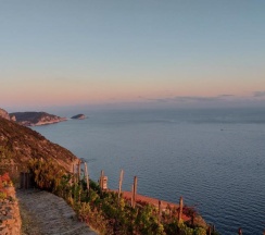 Коттедж в Casa a picco sul mare 5 terre