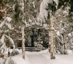 Третий дом в Дыши лесом