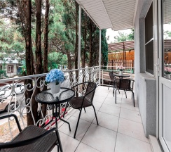 Двухместный Стандартный номер с двуспальной кроватью и балконом в гостевом доме SV на 2 этаже в Милка