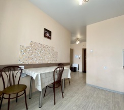 1-комнатные апартаменты стандарт 1-к. кв. Бабушкина 99 №60 в Декабрист на улице Бабушкина 99