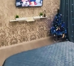 Трёхместные апартаменты c 1 комнатой в Квартира Ивана Сусанина 41