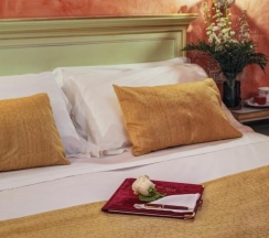 Двухместный номер Standard двуспальная кровать в Hotel Firenze