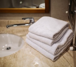 Люкс с сауной в Veranda