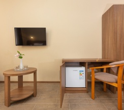 Двух местный Cтандарт + 1 доп.место без балкона в Brown hotel
