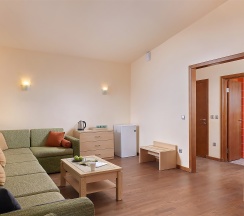 Семейный трехкомнатный люкс в Гуляй-город