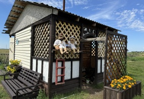 Гостевой дом Гусли в Алтайском крае