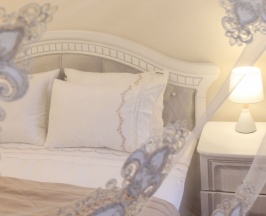 Двухместный стандарт в Пушкин