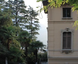 Двухместный номер Standard с видом на озеро 2 отдельные кровати в Hotel Firenze Lugano