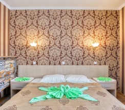 Двухместный номер Standard с балконом 2 отдельные кровати в Аист