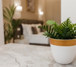 Студия Стандарт в Mirror Residence