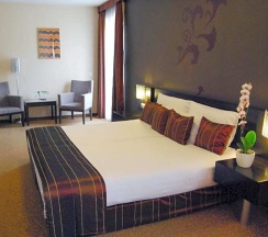 Номер Standard с балконом в Regnum Residence