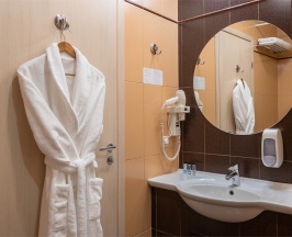 Бизнес в Cosmos Izhevsk Hotel
