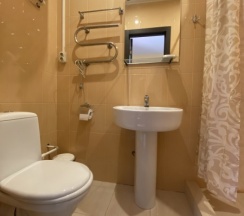 №10 Номер-студио с двуспальной кроватью в Eva Apartments