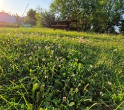 4-местный коттедж стандарт Кусто №2 в Кусто