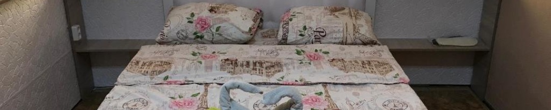 Двухместный номер Standard с видом на город двуспальная кровать в Парижский двор
