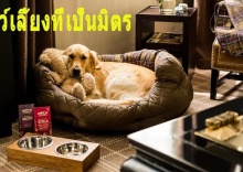 Одноместные апартаменты Deluxe в Mini Golf & Resort Ubon Ratchathani